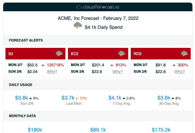 Daily Cost Reports