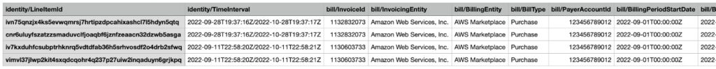 View the CUR using Excel or Numbers.